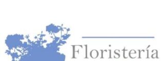 Florister&iacute;a los Patios: Nueva Marca Floral Registra su Identidad en Espa&ntilde;a