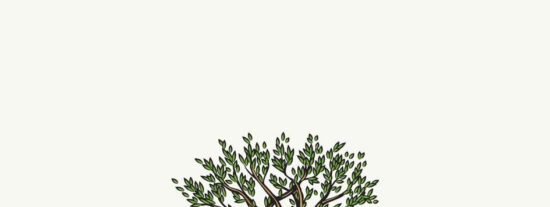 JDL Agro: Innovaci&oacute;n y Tecnolog&iacute;a al Servicio de la Agricultura en C&oacute;rdoba