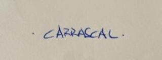 CARRASCAL: Un Nuevo Horizonte para el Arte en Córdoba