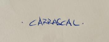 CARRASCAL: Un Nuevo Horizonte para el Arte en Córdoba