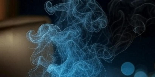 HOJA FINA SL: Innovación y Calidad en la Industria del Tabaco
