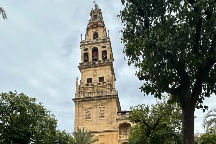 Visita Guiada Mezquita de Córdoba