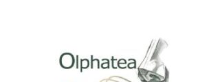OLPHATEA: La Nueva Experiencia en Aromaterapia y Bienestar Sensorial