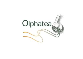 OLPHATEA: La Nueva Experiencia en Aromaterapia y Bienestar Sensorial