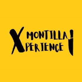 Montilla Xperience: Un Nuevo Horizonte para el Turismo y la Cultura en Córdoba