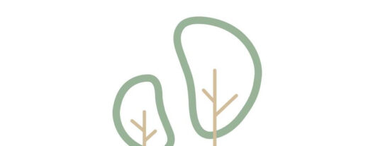 ALMANZOR CENTRO DE EDUCACIÓN INFANTIL: Un Espacio de Aprendizaje y Diversión en Córdoba