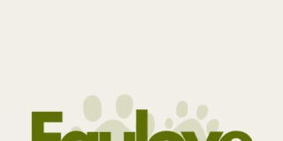 Faulove: Moda y Estilo con un Toque &Uacute;nico