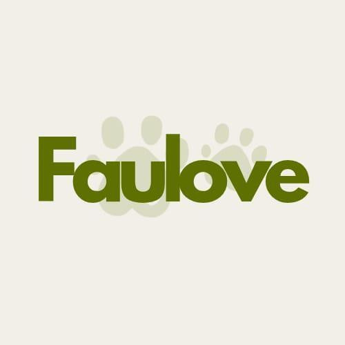Faulove: Moda y Estilo con un Toque Único