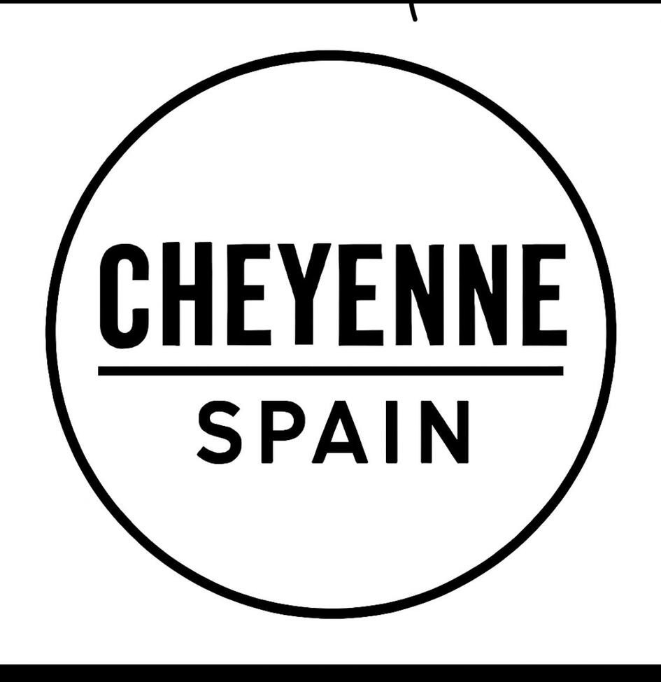 CHEYENNE SPAIN: Innovación y Diversión en Juegos y Juguetes
