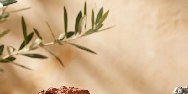 Rich Microniched SL: Extracci&oacute;n de Minerales No Ferrosos en C&oacute;rdoba