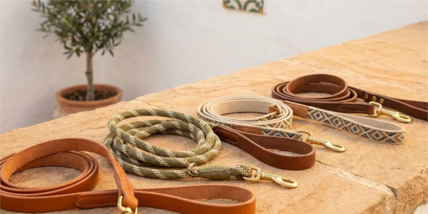 Paseatumascota: La Marca que Cuida a Nuestros Compa&ntilde;eros Peludos