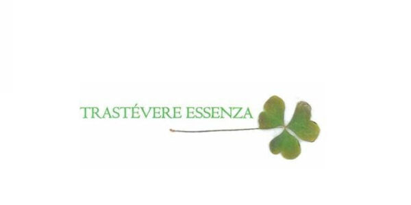 TRAST&Eacute;VERE ESSENZA: Talleres Creativos que Conectan Educaci&oacute;n y Naturaleza