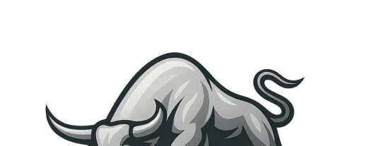 Tauryx: Innovaci&oacute;n en Art&iacute;culos de Deporte y Gimnasia en C&oacute;rdoba