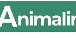 Animaling: La Nueva Marca que Revoluciona el Comercio de Productos para Mascotas