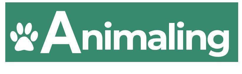 Animaling: La Nueva Marca que Revoluciona el Comercio de Productos para Mascotas