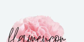 Celebrando la cultura y el arte: FLAMENCOR lanza su marca nacional en C&oacute;rdoba