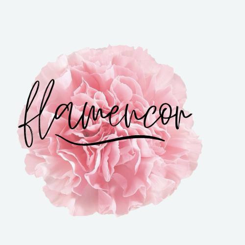 Celebrando la cultura y el arte: FLAMENCOR lanza su marca nacional en C&oacute;rdoba