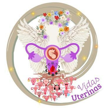 VIDAS UTERINAS: Apoyo Integral para la Salud Maternal en C&oacute;rdoba