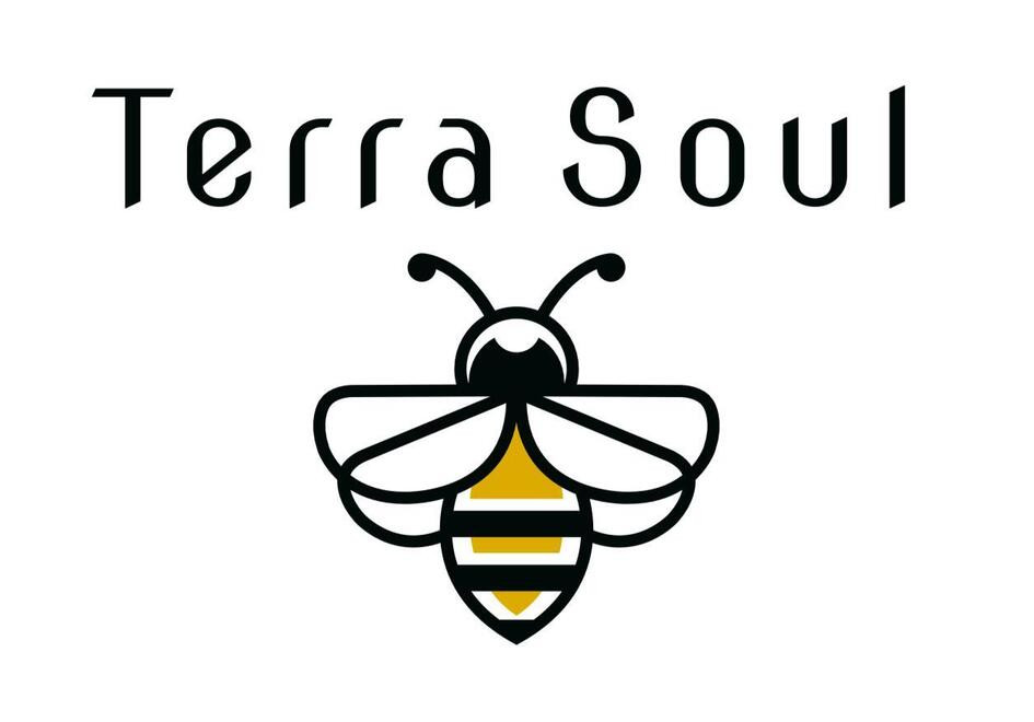 Terra Soul: Moda Sostenible y Estilo &Uacute;nico en C&oacute;rdoba