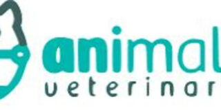 Animal 24 Veterinarios: Cuidado integral para tus mascotas en C&oacute;rdoba