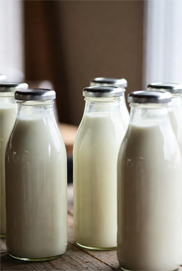 VADILLO HOLSTEIN SL: Producci&oacute;n Lechera en Posadas