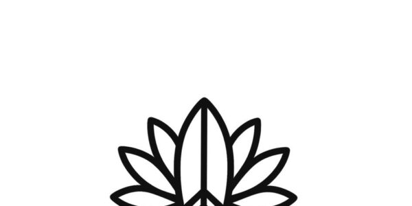 Khalmunai: La Nueva Marca de Moda con Estilo y Originalidad