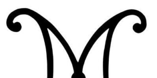 Nueva Marca de Utensilios y Recipientes para el Hogar