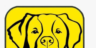 ALERCHAT: Aplicaciones M&oacute;viles para una Comunicaci&oacute;n Efectiva