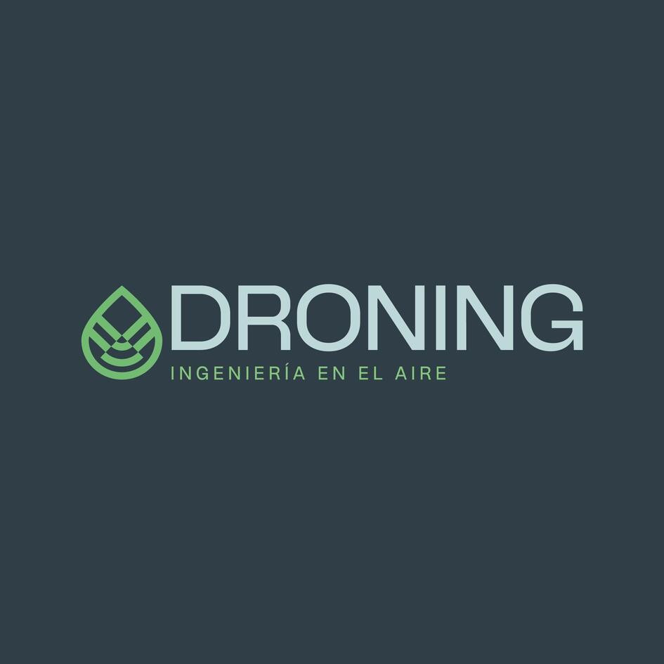 DRONING INGENIERÍA EN EL AIRE: Tecnología desde lo Alto